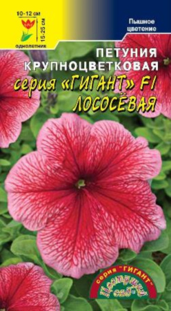 Петуния Гигант лососевая крупн. Цвет.сад  Петуния Гигант лососевая крупн. Цвет.сад