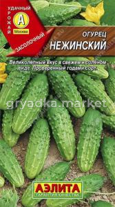 Огурец Нежинский (Аэлита)