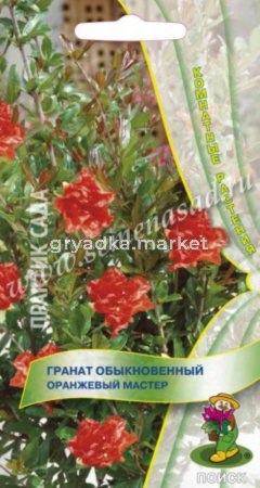 Гранат обыкновенный Оранжевый мастер (ЦВ) (