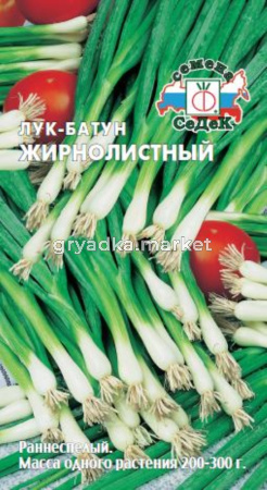 Лук батун Жирнолистный 1,0г. (Седек)