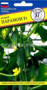 Скриншот 29-10-2024 095727