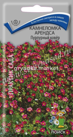 Камнеломка Арендса Пурпурный ковер 0,01гПоиск (д-цв.ковров)