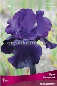 Ирис бородатый Блэк Дрэгон (тёмно-сиреневый, 1шт, I)