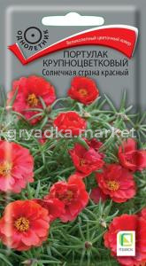 Портулак Солнечная страна красный крупноцветковый 0,1г Одн 10см (Поиск)
