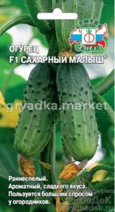 Огурец Сахарный Малыш F10,2г-большой спрос у огород.!!! (Седек)