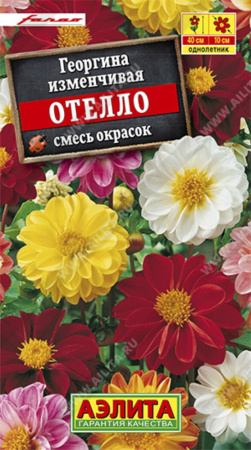 Георгина Отелло,смесь окрасок Аэлита