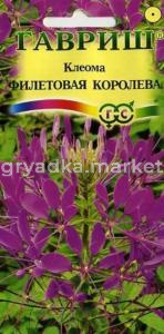 Клеома Фиолетовая королева 0,3г Гавриш