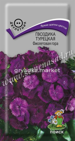 Гвоздика турецкая Фиолетовая гора 0,25г. Поиск