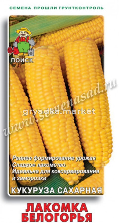 Кукуруза Лакомка Белогорья (ЦВ) 10гр.Поиск
