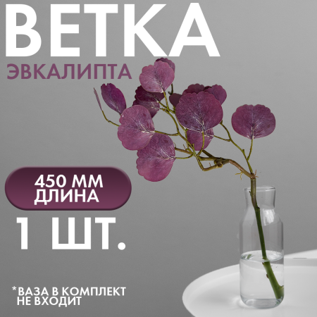 эвкалипт эвкалипт
