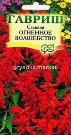 Сальвия Огненный закат сверкающая 0.03г Одн смесь 35см (Цвет сад)