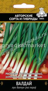 Лук батун Валдай(А) (ЦВ) 1гр. Поиск