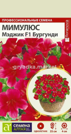 Мимулюс Мэджик Бургунди 10шт (Сем Алт)