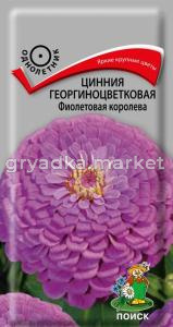 Цинния Фиолетовая королева 0,4г георгиноцв. Поиск