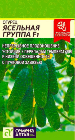 Огурец Ясельная Группа F1 5шт (Сем Алт) Огурец Ясельная Группа F1 5шт (Сем Алт)