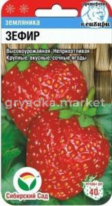 Земляника (Клубника) Зефир (Сиб. сад.)