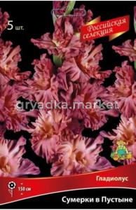 Гладиолус Сумерки в Пустыне (палево-коричневый с легкой фиолетовой дымкой, 5шт, 12+)