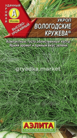 Укроп Вологодские Кружева Аэлита