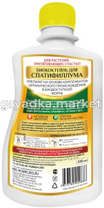 Спатифиллум зад