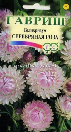 Гелихризум Серебряная роза 0,2г Гавриш