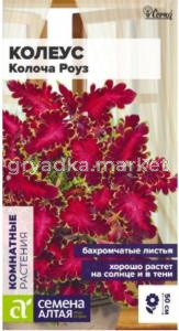 Колеус Колоча Роуз 5шт Комн 30см (Сем Алт)