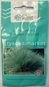 Булавоносец Колючий голубой 3шт (Сады России)