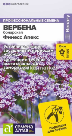 Вербена Финесс Апекс бонарская 5шт Мн 120см (Сем Алт)
