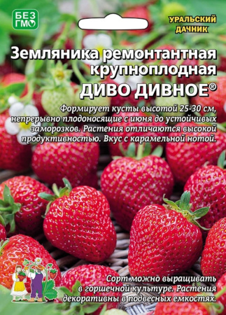 Земляника Диво дивное ремонтантная (УД)