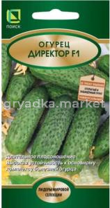 Огурец Директор F1 5шт Парт Ср (Поиск)