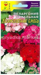 Пеларгония Великолепланая смесь Цвет.Сад