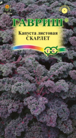 Капуста листовая Скарлет 0,3 г (Гавриш) Н21