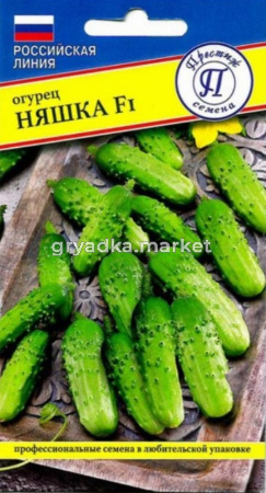 Скриншот 29-10-2024 095438