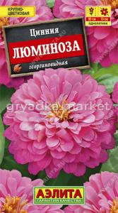 Цинния Люминоза, георгин. (Аэлита)