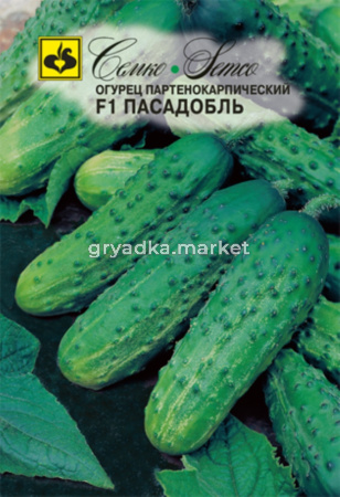 Огурец Пасадобль F1,Парт,без горечи,не перер Семко