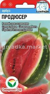 Арбуз Продюсер 4шт. (Сиб. сад.)