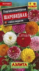 Георгина Шаровидная,смесь Аэлита