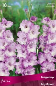 Гладиолус Блу Фрост 10 шт. 10-12