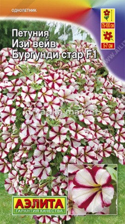 Петуния Изи вейв бургунди стар F1 Аэлита