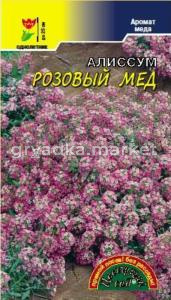 Алиссум Розовый  мед Цвет сад
