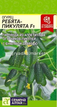 Огурец Ребята-Пикулята F1 5 шт Ранн (Сем Алт)