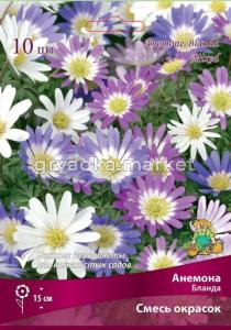 Анемона Бланда 10шт (махровый, смесь окрасок, 5-6)