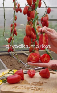 Скриншот 26-06-2026 132850