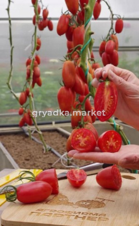 Скриншот 26-06-2026 132850