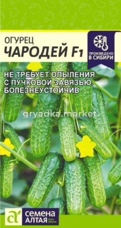 Огурец Чародей F1 5шт Парт Ранн (Сем Алт)