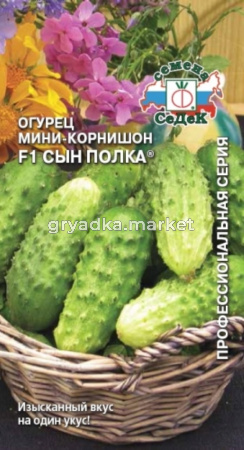 Огурец Сын полка F1 0,3гр (Седек)