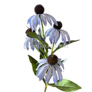 3458-1-Photoroom-Photoroom (1)-Photoroom