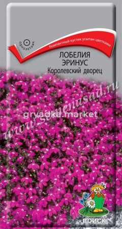 Лобелия Эринус Королевский дворец 0,1г. КУСТОВАЯ Поиск