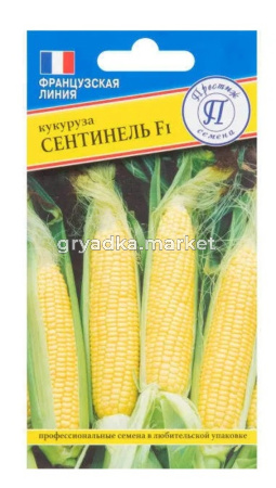 Кукуруза Сентинель F1 10 шт (Престиж)