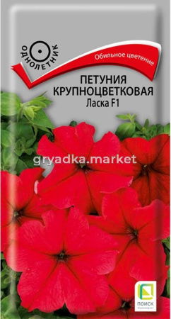 Петуния Ласка F1, крпнцв 20шт.Поиск