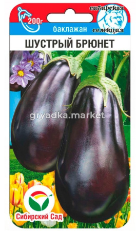 Баклажан Шустрый брюнет 20шт Ранн (Сиб сад)